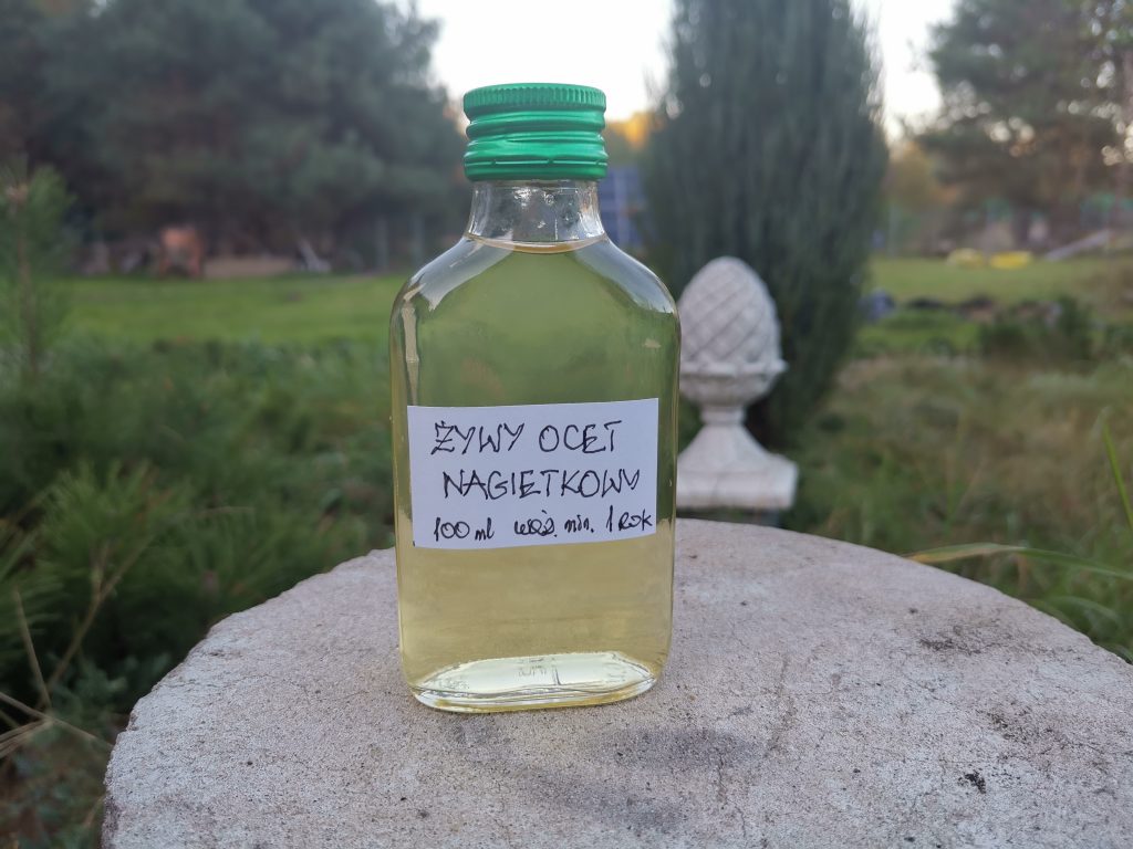 ocet nagietkowy, ocet z nagietka