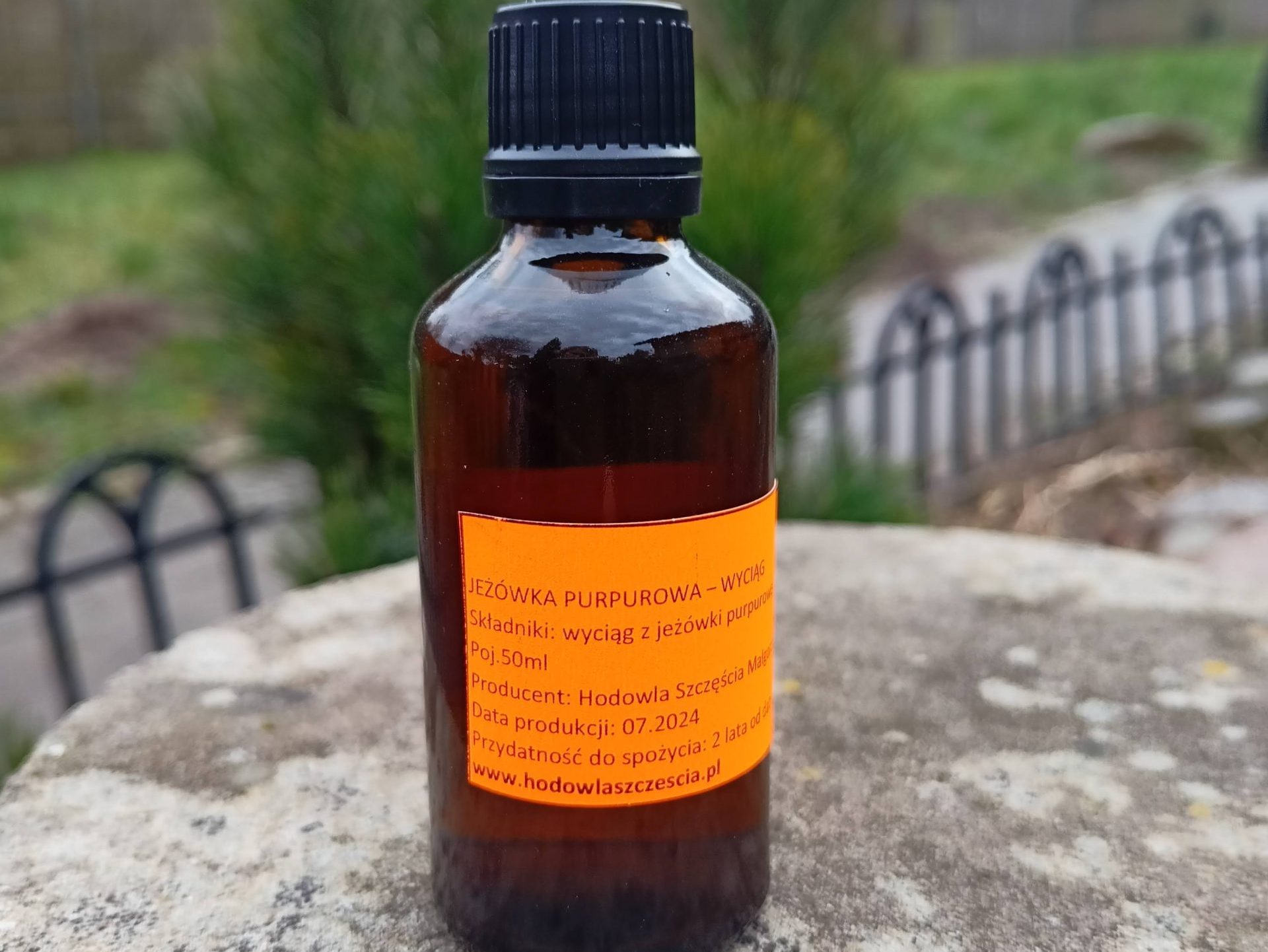 Wyciąg z jeżówki purpurowej / Echinacea jeżówka wąskolistna 50ml