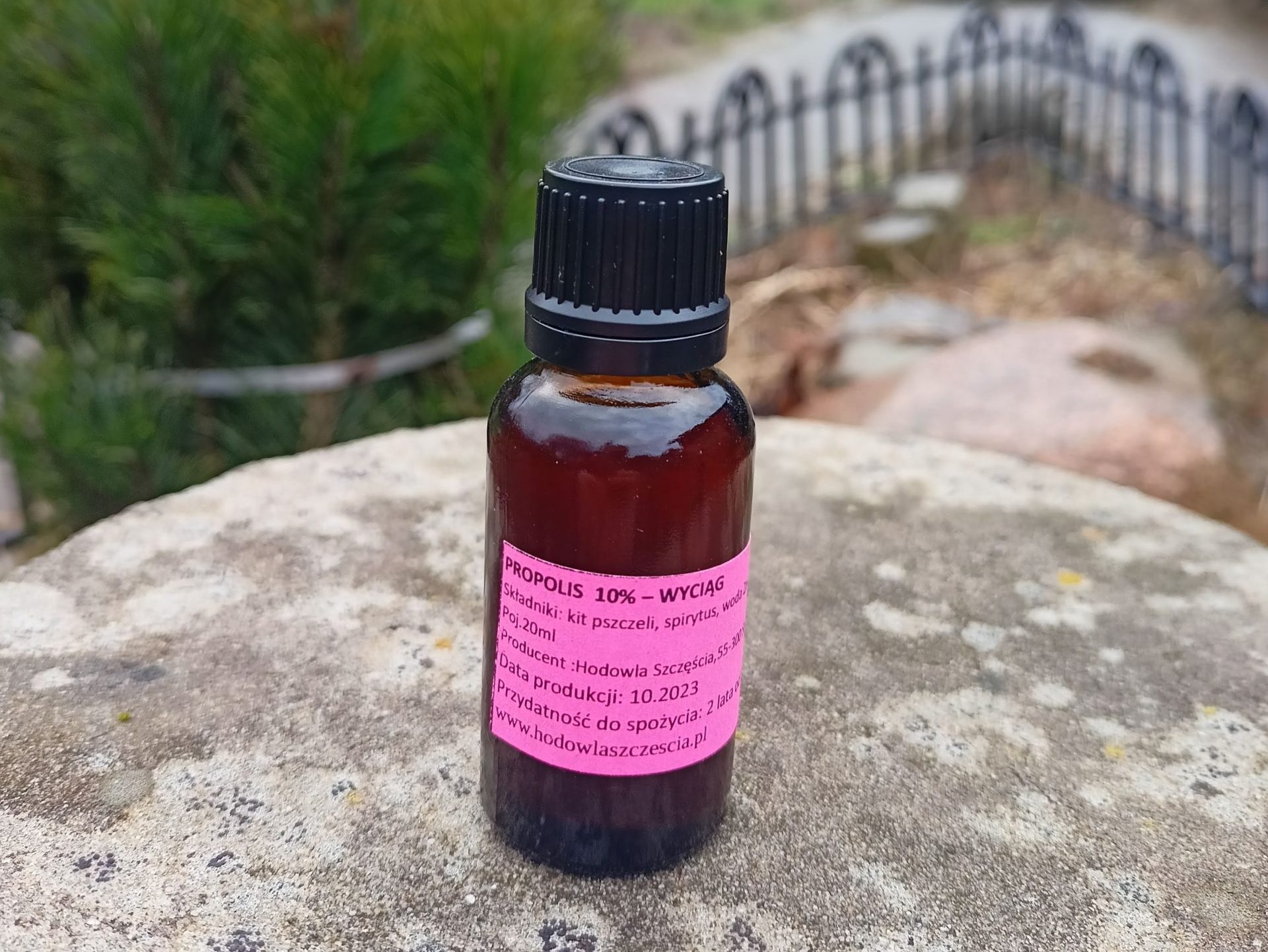 Wyciąg z propolisu / Propolis