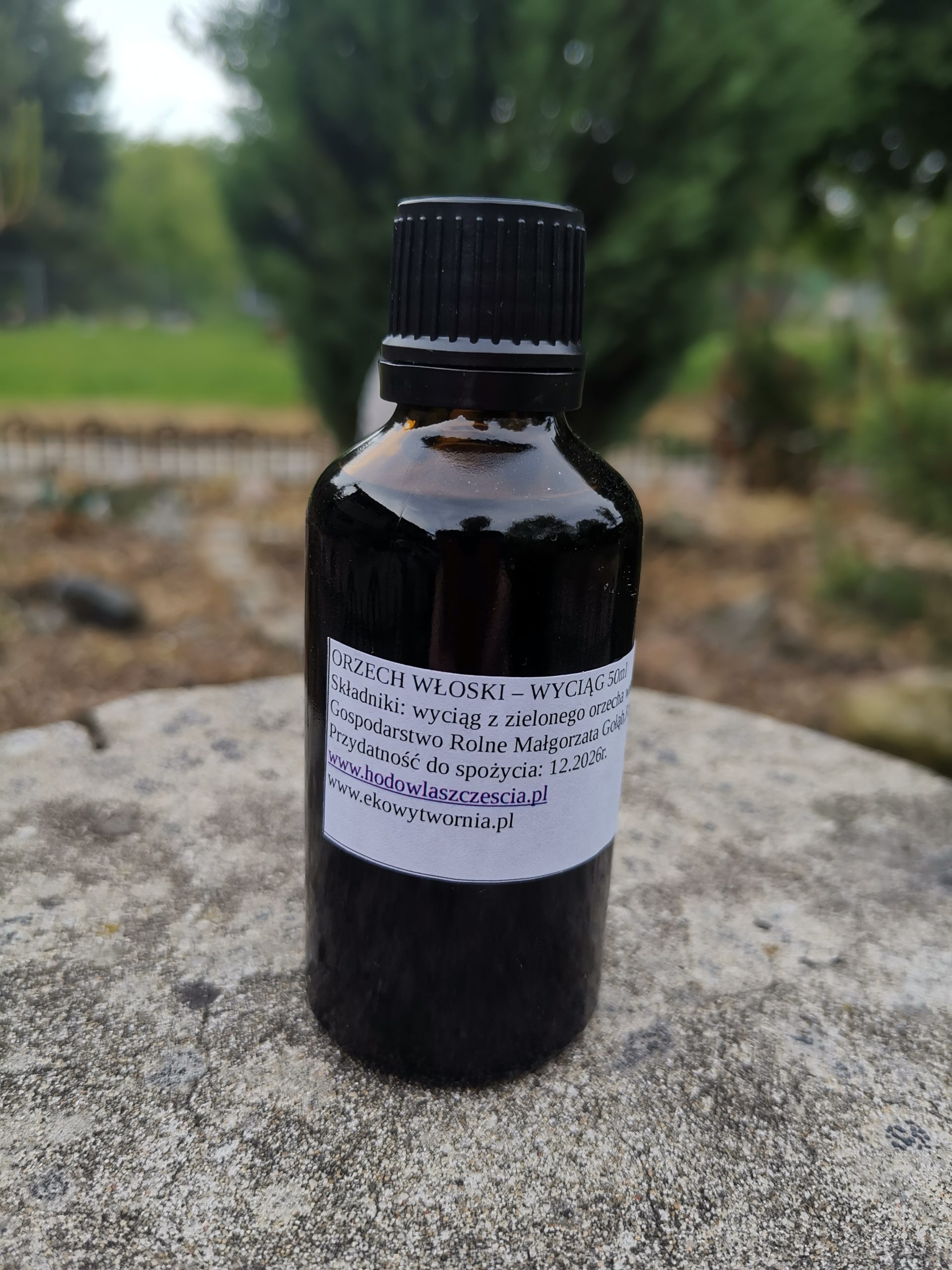 Wyciąg z zielonych orzechów 50ml - obrazek 2