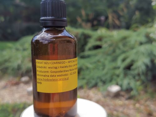 Wyciąg z kwiatu bzu czarnego 50ml