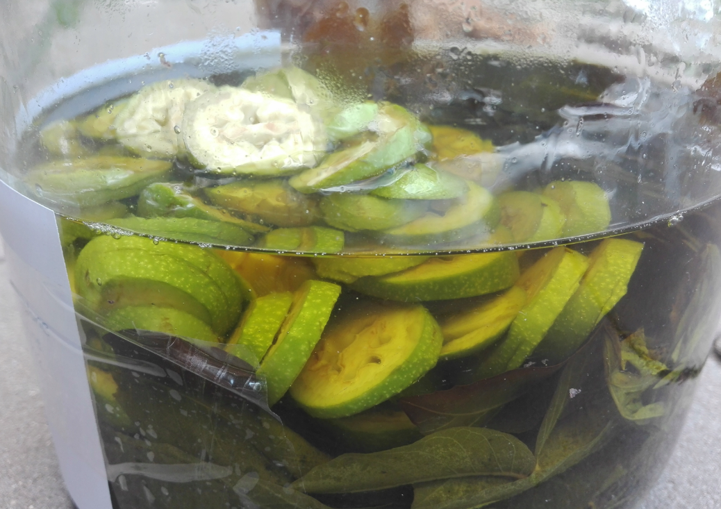 Wyciąg z zielonych orzechów 50ml - obrazek 3