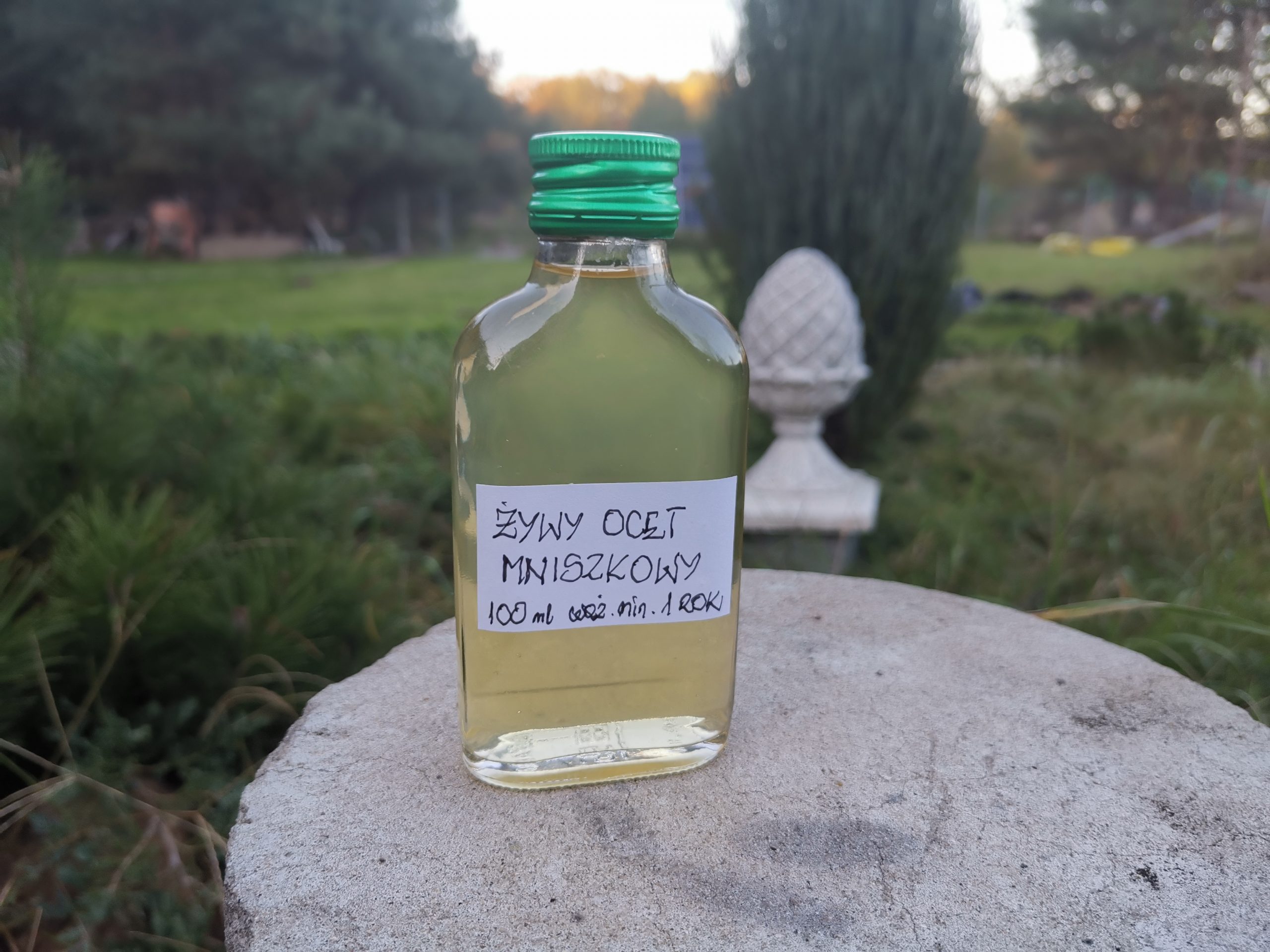 You are currently viewing Naturalny żywy ocet – Poznajmy Go!