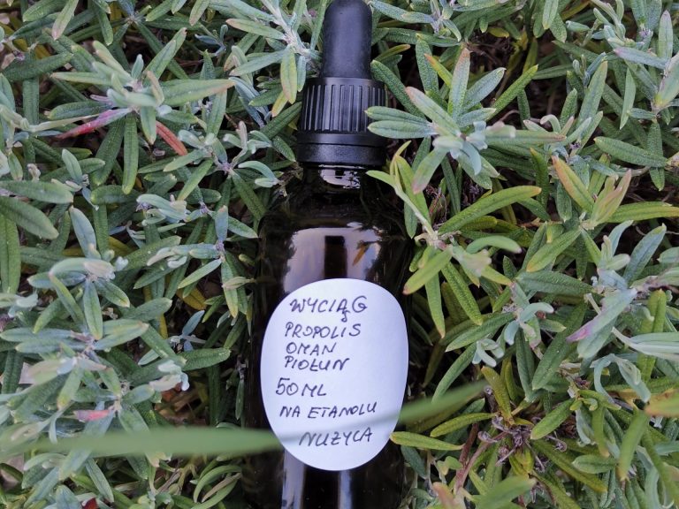 Read more about the article Nużeniec ludzki i nużyca: jakie są objawy choroby i jak ją wyleczyć?