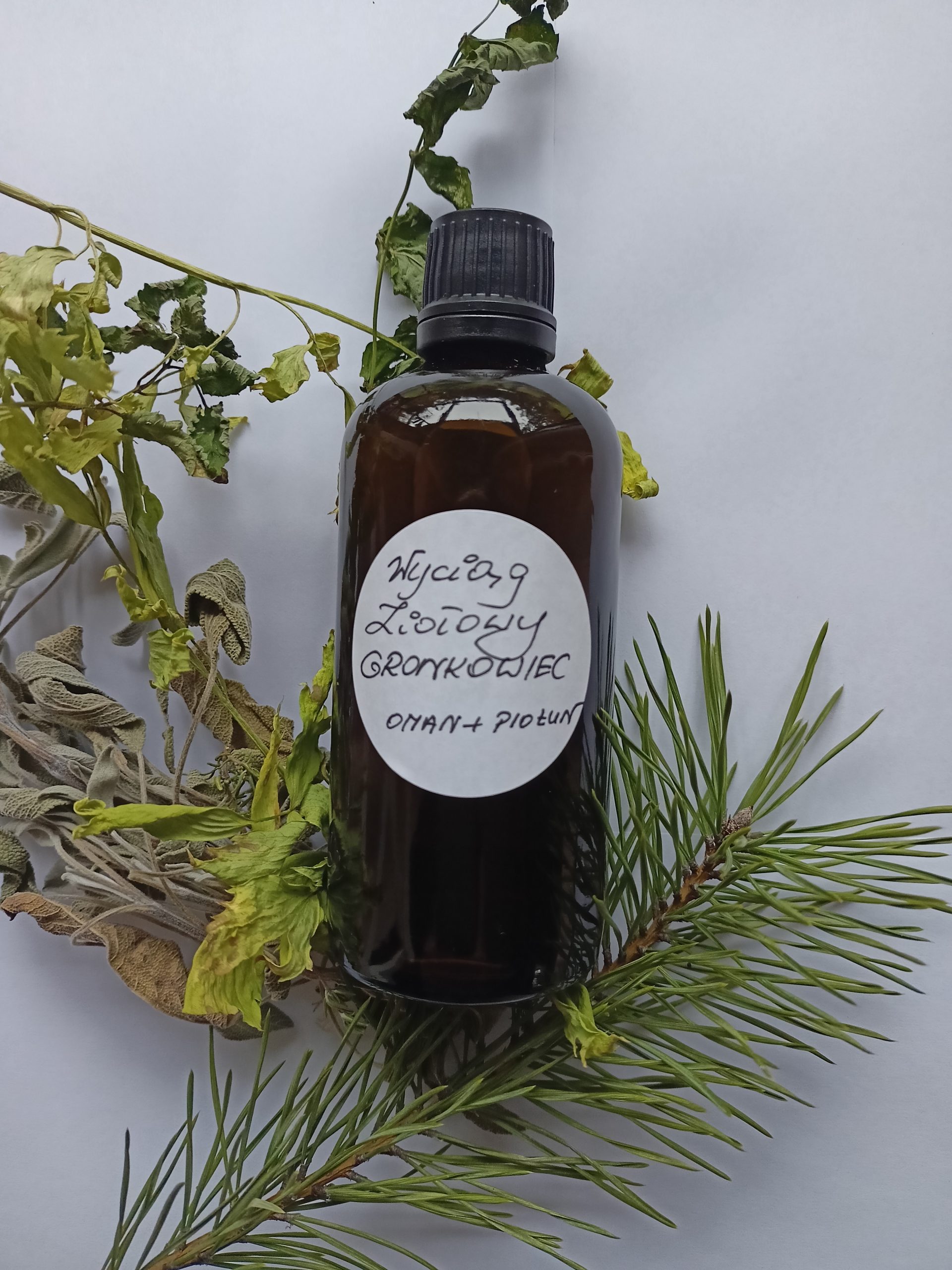 Wyciąg z omanu i piołunu - obrazek 2