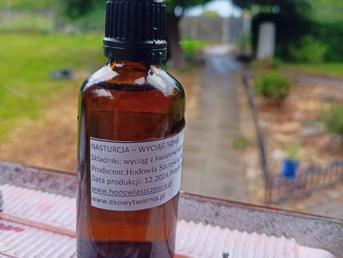 Wyciąg z nasturcji 50ml