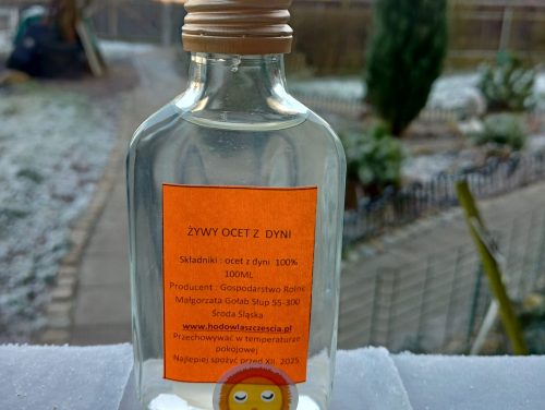 Ocet z dyni