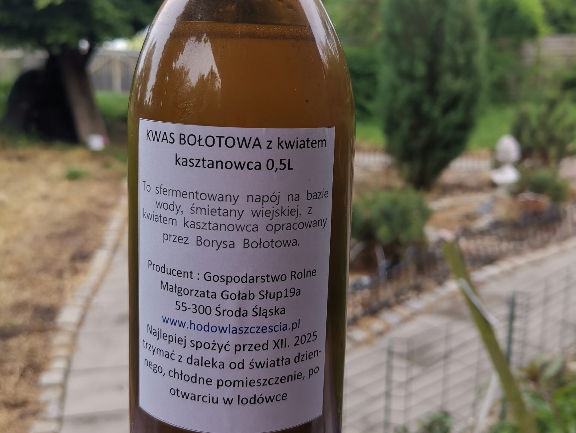 Kwas Bołotowa z kwiatem kasztanowca - Ferment Johri