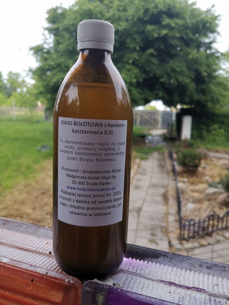 Kwas Bołotowa z kwiatem kasztanowca - Ferment Johri - obrazek 2