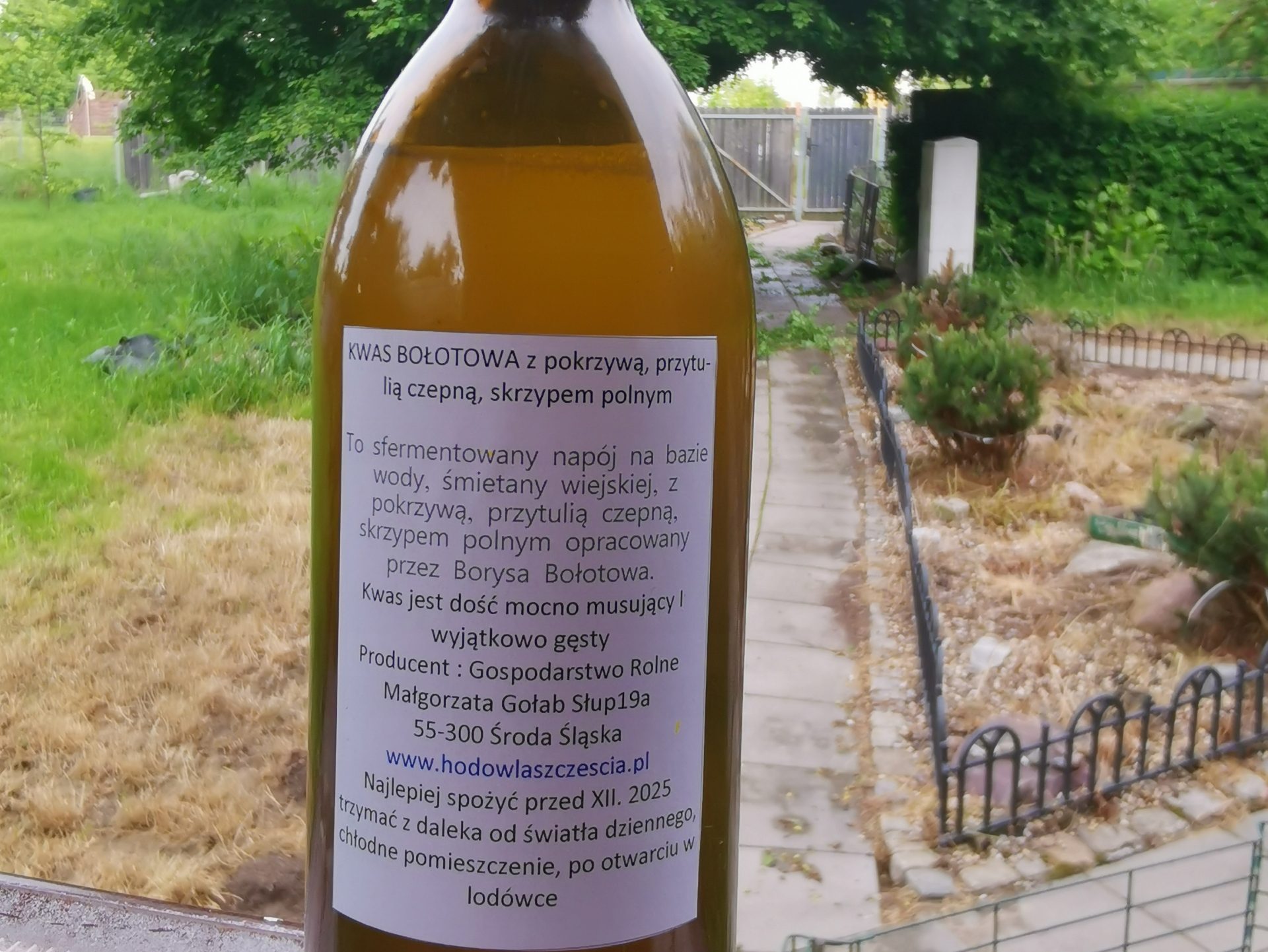 You are currently viewing Jak stosować kwasy bołotowa?