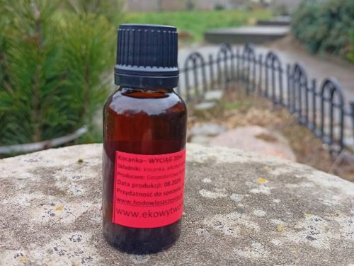 Wyciąg z kocanki 20ml